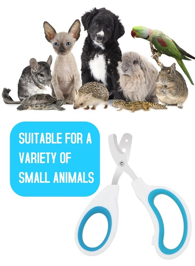 Engorgio Stainless Steel Bearded Dragon Nail Clippers,Lizard Nail Clippers,Bearded Dragon Supplies,Bearded Dragon Nail Scissors for Small Reptiles,Turtle,Chameleon,Iguana，Hedgehog（Blue） - Image 4